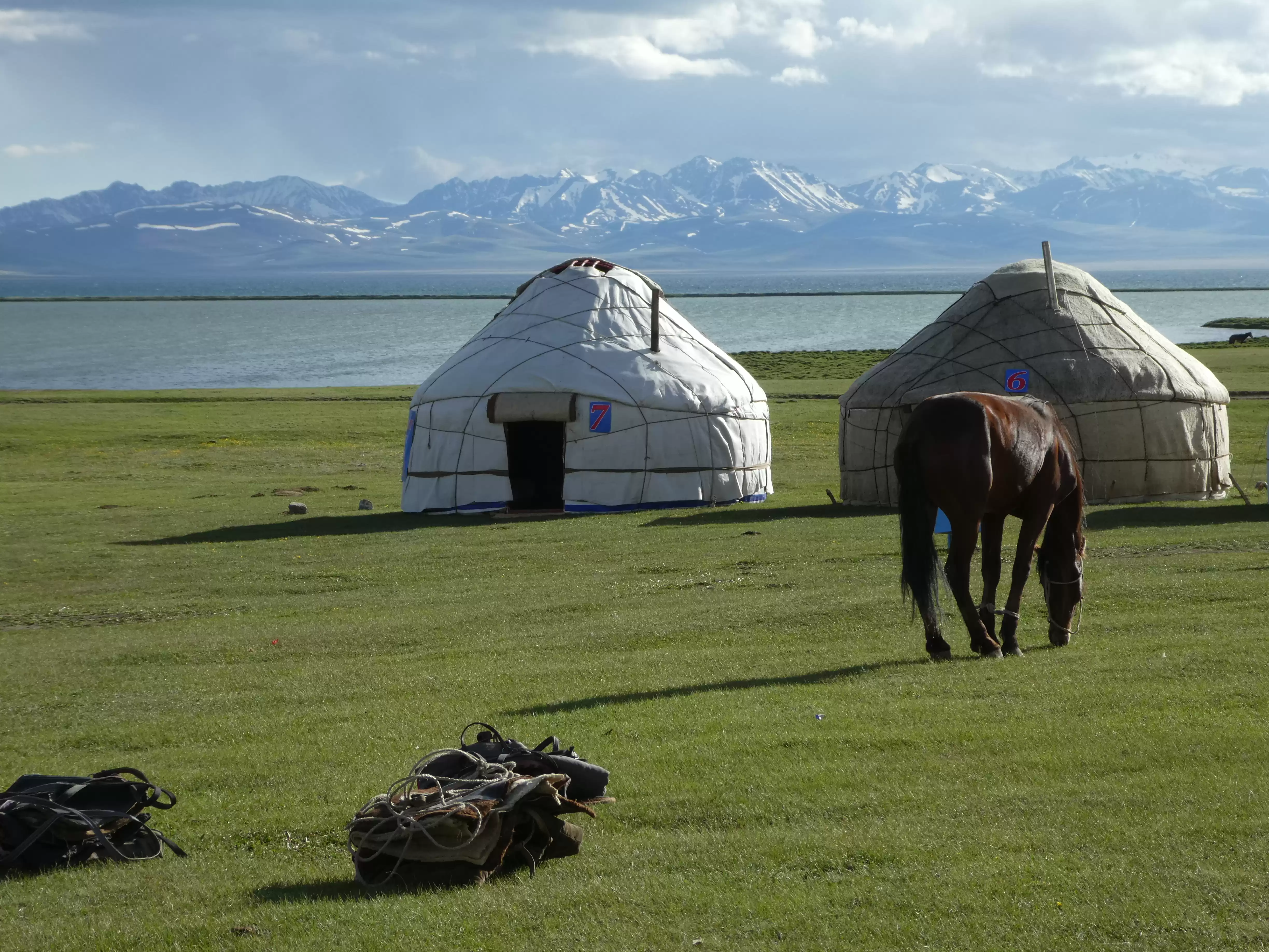 Horse and mountain scenery